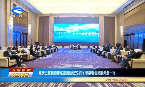 三峽啟迪孵化器啟動儀式暨區域創新生態產業鏈發展論壇在重慶隆重舉行